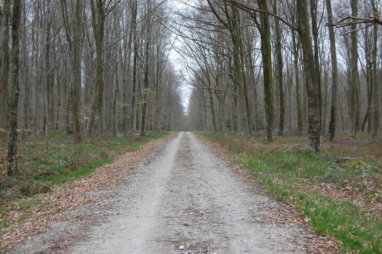 Le Petit Gite De La Varenne Saint-Hellier Zewnętrze zdjęcie
